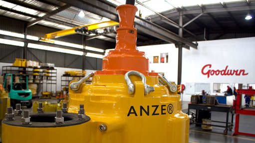 Image of Goodwin ANZE pump product 